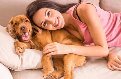 The Power of Emotional Support Animals